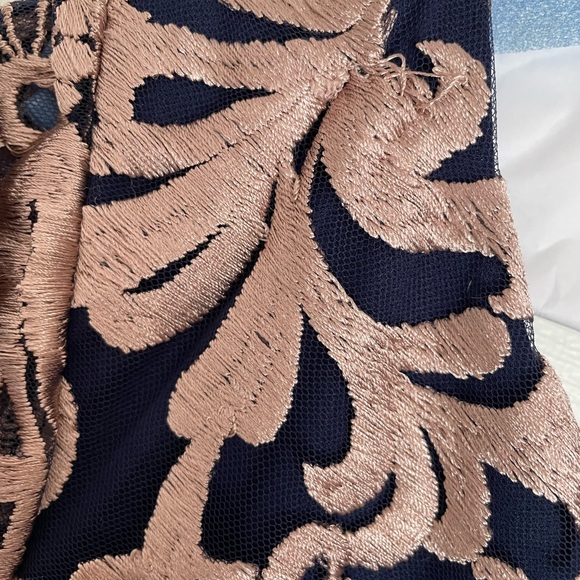 Flutter Sleeve Embroidered Gown - BLUSH with Navy Blue Lining - Picture 9 of 13
